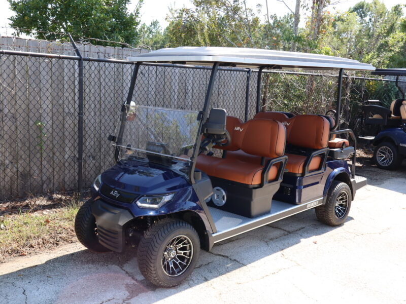 2024 Metallic Blue 6 Seater Advanced EV