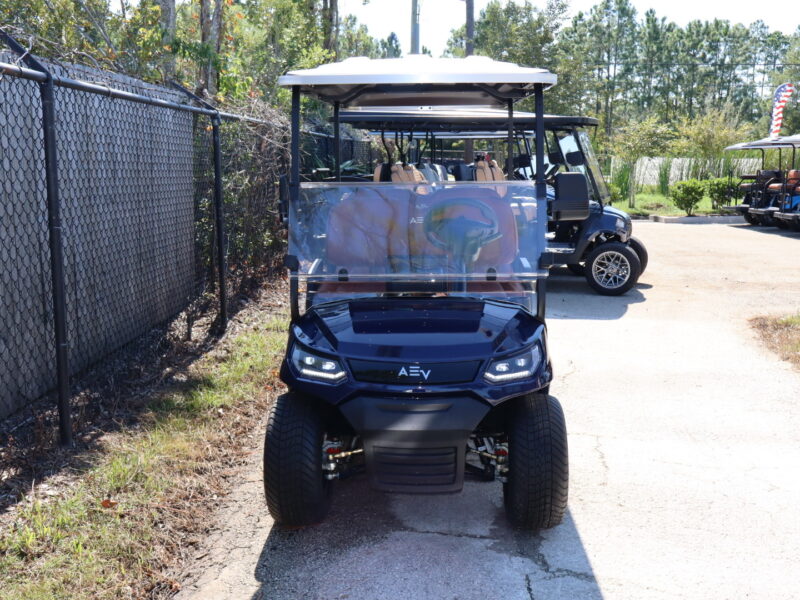 2024 Metallic Blue 6 Seater Advanced EV