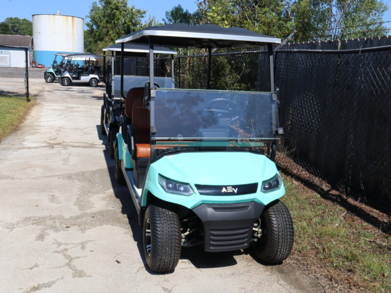 2024 Sea Foam Green 6 Seater Advanced EV