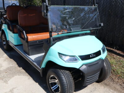 2024 Sea Foam Green 6 Seater Advanced EV