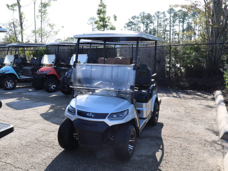 2024 Silver 4 seater Advanced EV