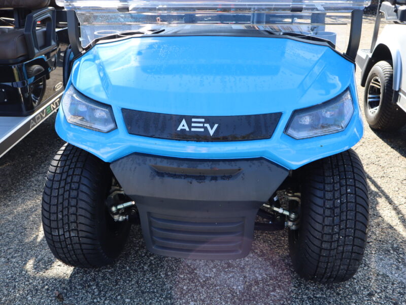 2024 Blue 4 Seater Advanced EV