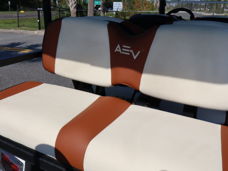 2025 White 6 Seater Advanced EV