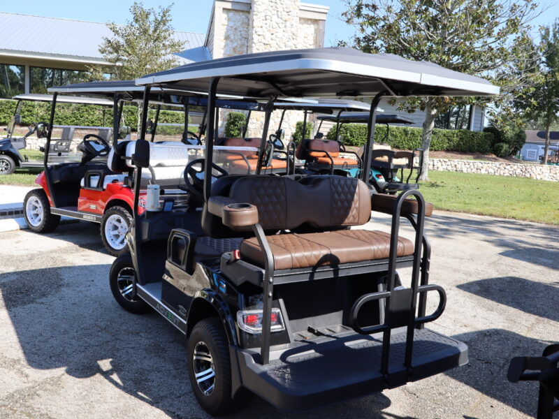 2024 Black 4 Seater Advanced EV