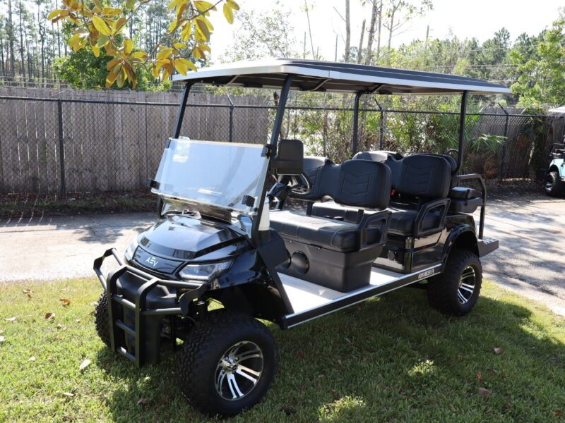 2024 Black 6 Seater Advanced EV