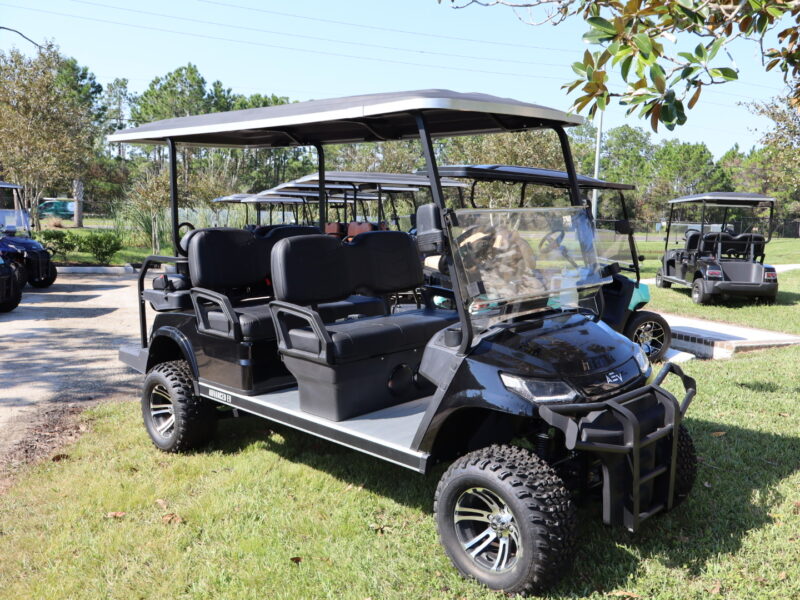 2024 Black 6 Seater Advanced EV