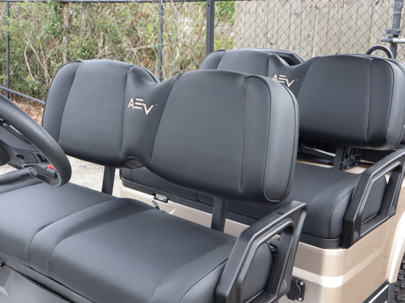 2024 Champagne 6 Seater Advanced EV