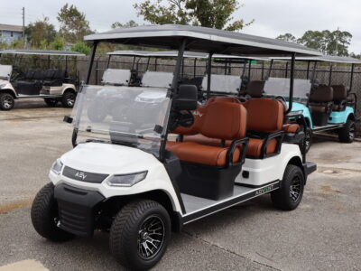 2025 White 6 Seater Advanced EV