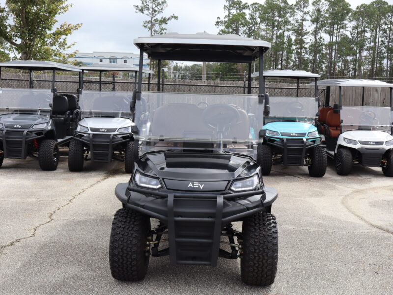 2025 Black 6 Seater Advanced EV