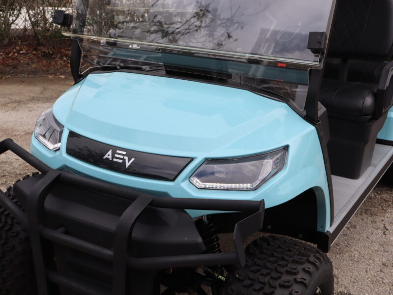 2024 Bimini Blue 6 Seater Advanced EV