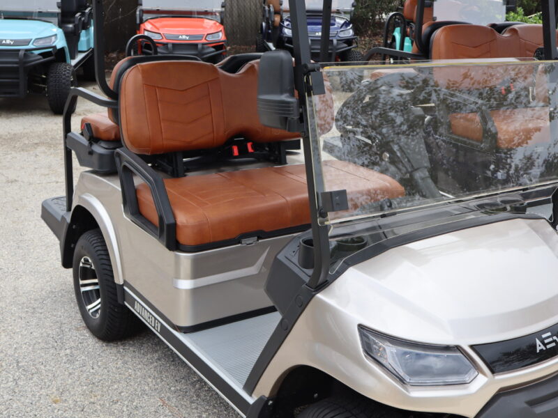 2024 Champagne 4 Seater Advanced EV