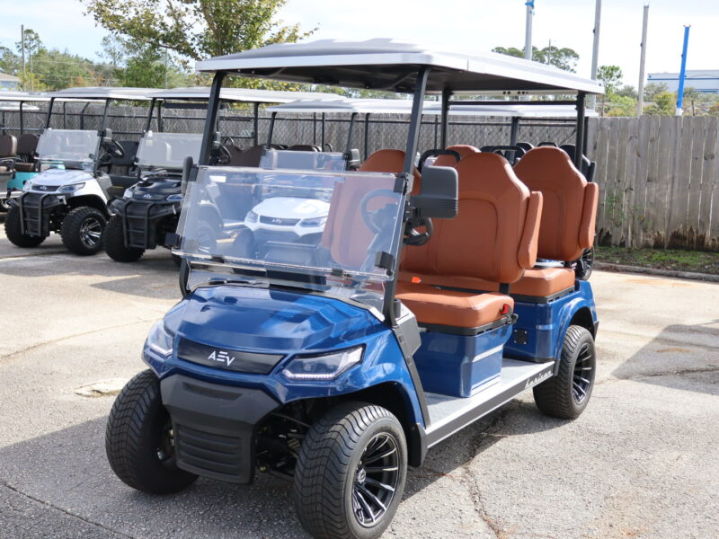 2025 Navy Blue 4 Seater Advanced EV Horizon