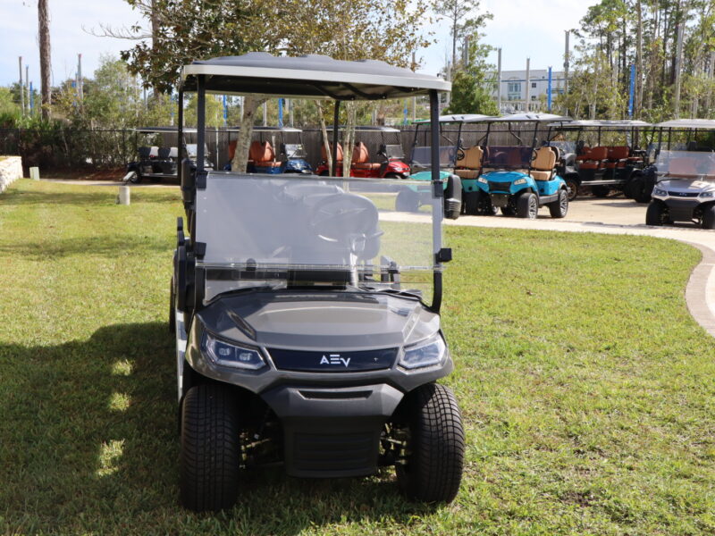 6 Seater Charcoal Advanced EV