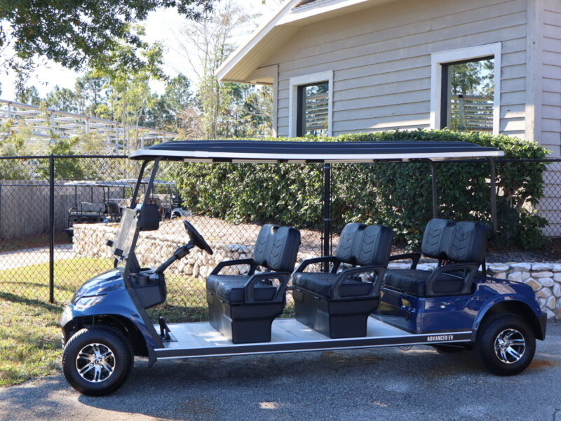 2025 Electric Blue 6 Forward Seater Advanced EV