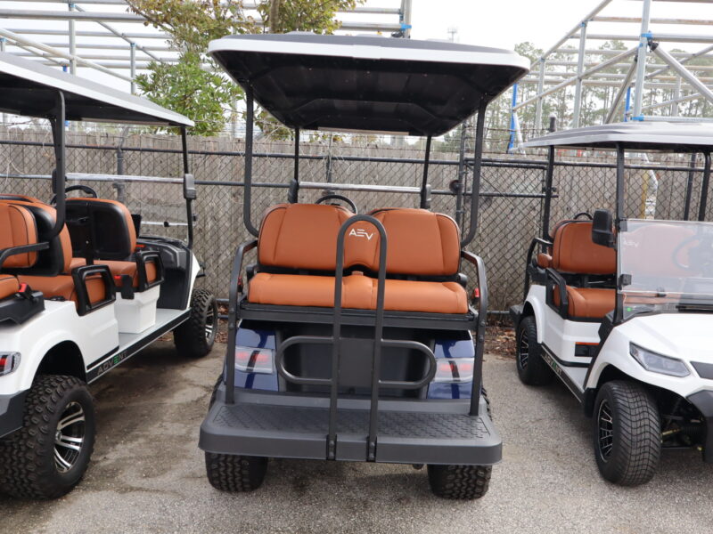 2025 Electric Blue 6 Seater Advanced EV - LIFTED