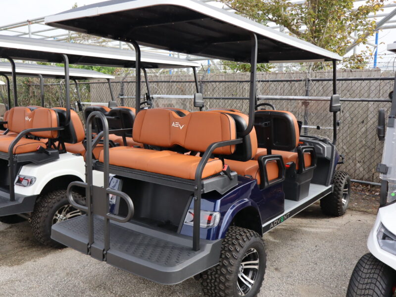 2025 Electric Blue 6 Seater Advanced EV - LIFTED