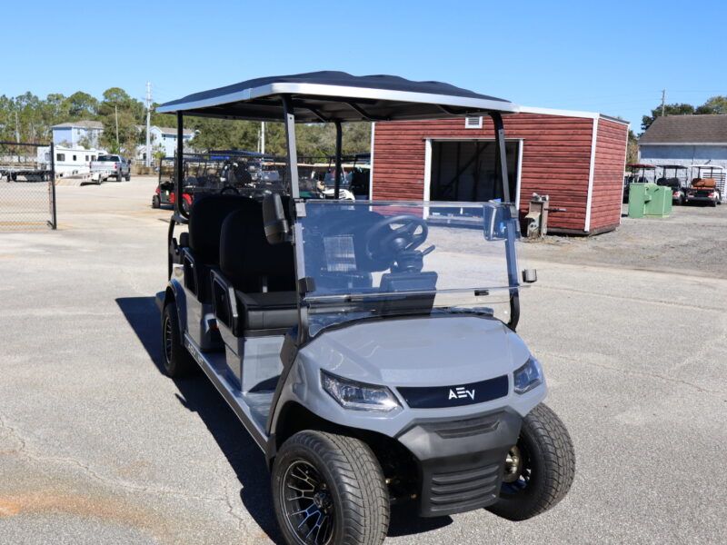 2025 Charcoal 6 Seater Advanced EV