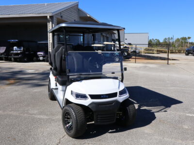 2025 White Horizon Advanced EV