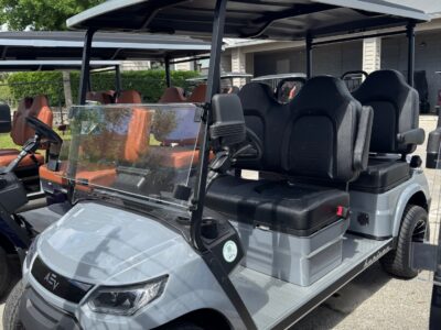 2025 Grey 4 Seater Horizon Advanced EV